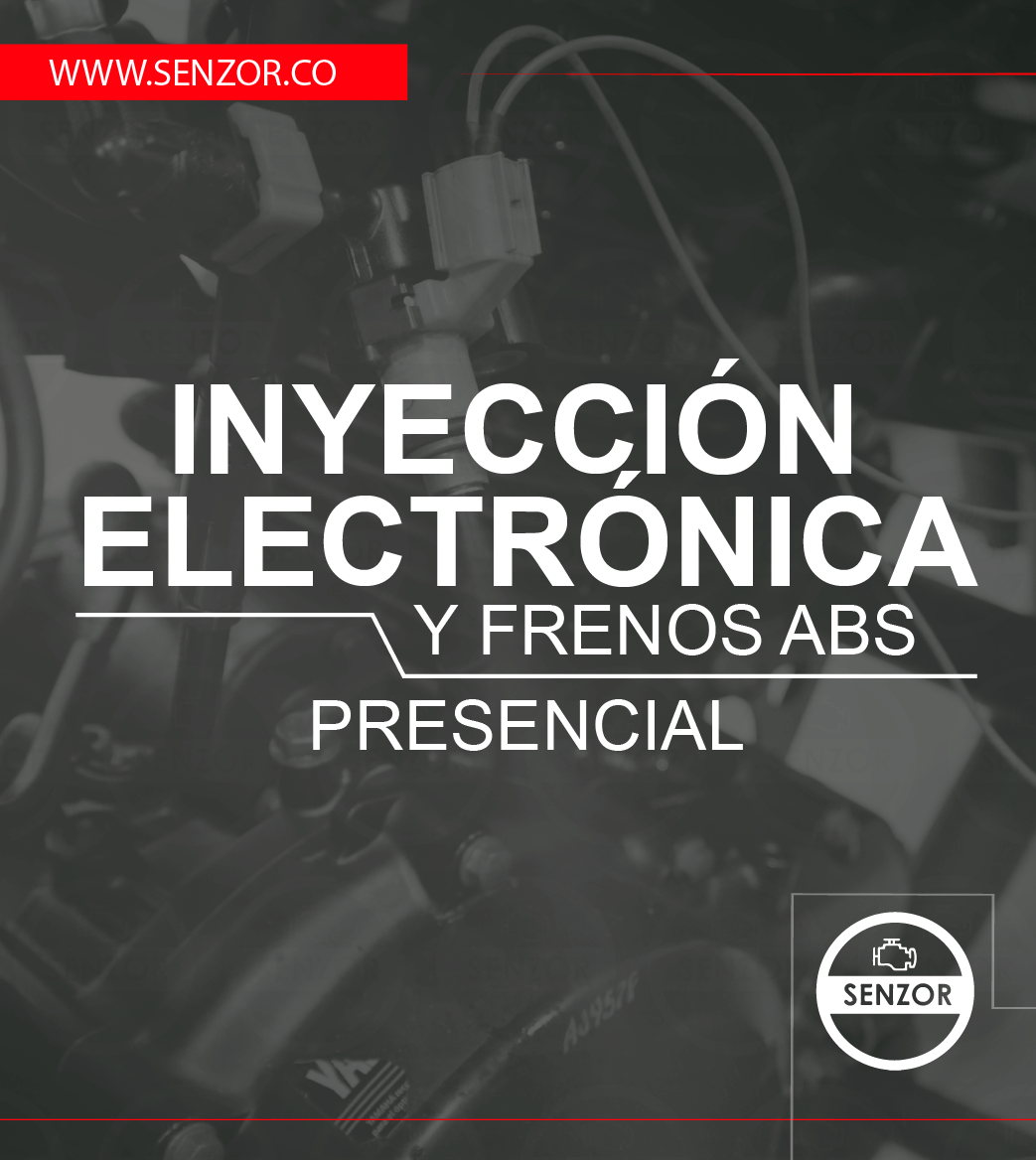 inyeccion electronica